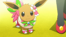 Serena Eevee Showcase Debut