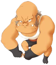 HMDSIoH Gannon