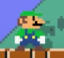 SMM costume 004 Luigi