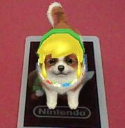 NintendogsCats AR Link