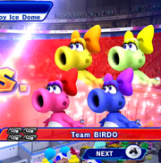 M&S14 TeamBirdo