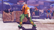 SFV CS Nash