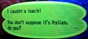 AnimalCrossing Loach