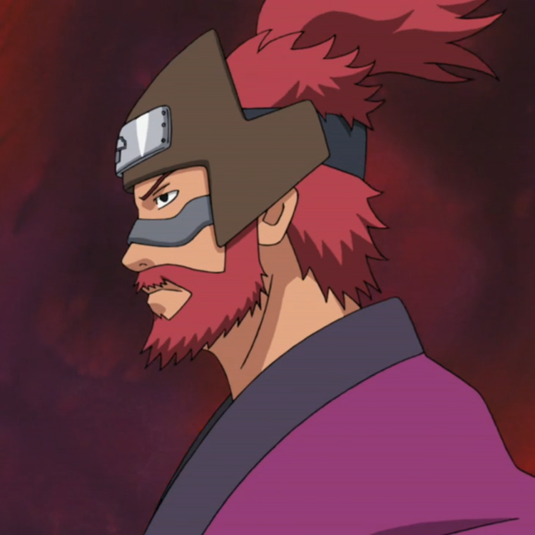 Image Roshi Naruto png Fictional Fighters Wiki Image Roshi Naruto png Fictional Fighters Wiki