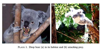 Drop-bear-image