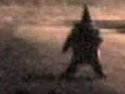 Gnome