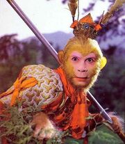 Monkey
