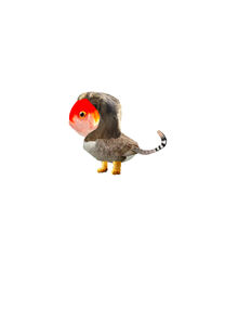 Googlymorph