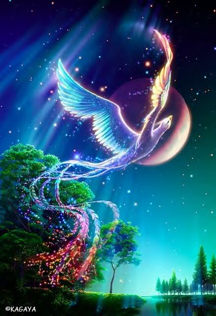Swan