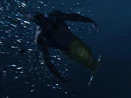 Images