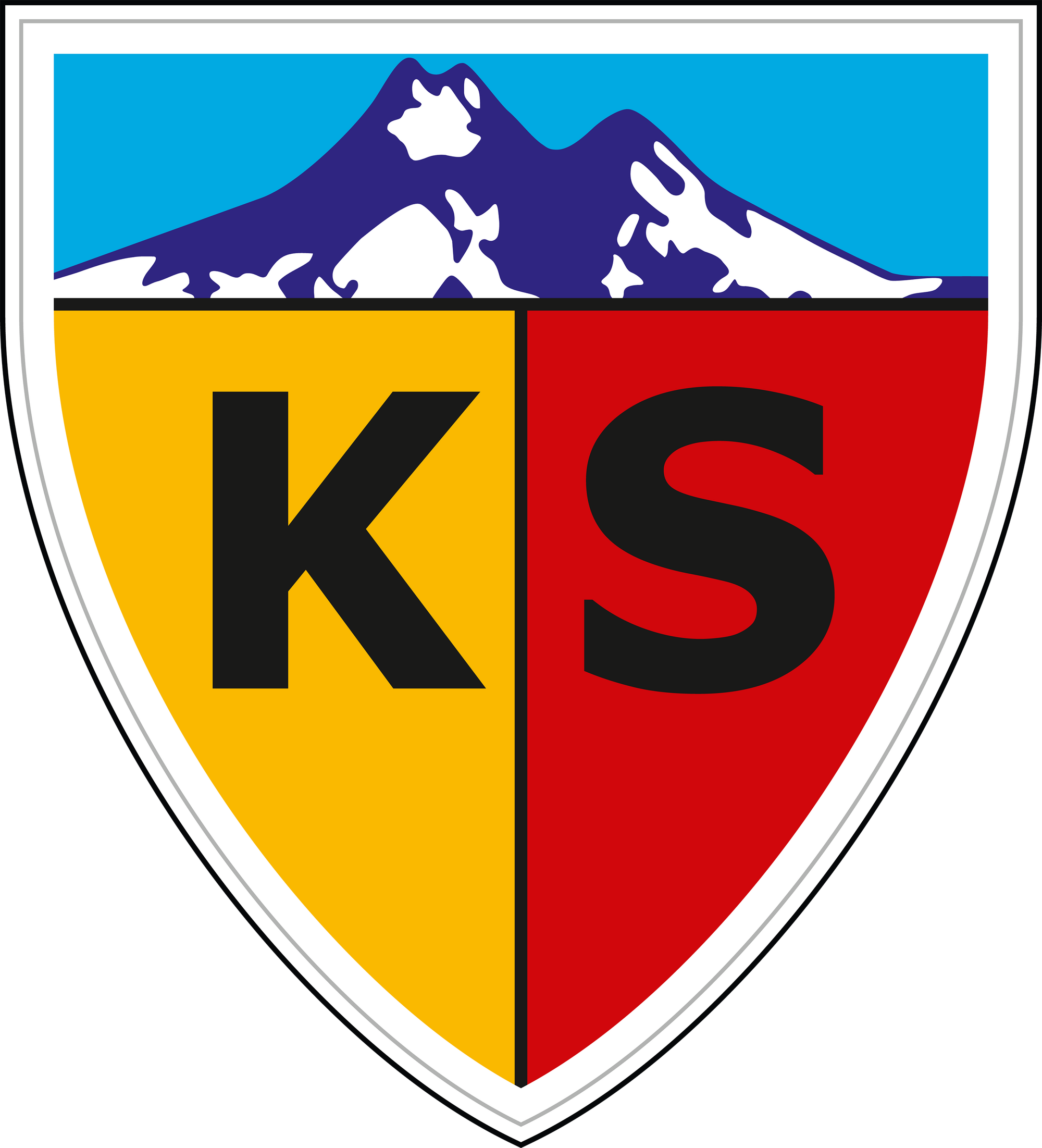 Image - Kayserispor.png | FIFA Football Gaming wiki | FANDOM powered by ...