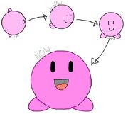 Fifi Evolution