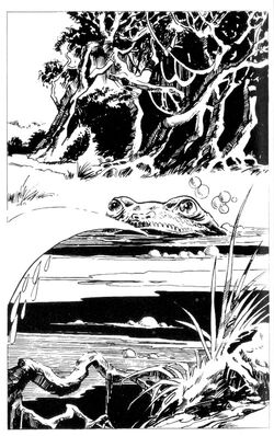 Spit Toad1