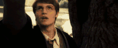 Tumblr lq314fsQl01qht7rbo1 500