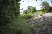 IMG 9292