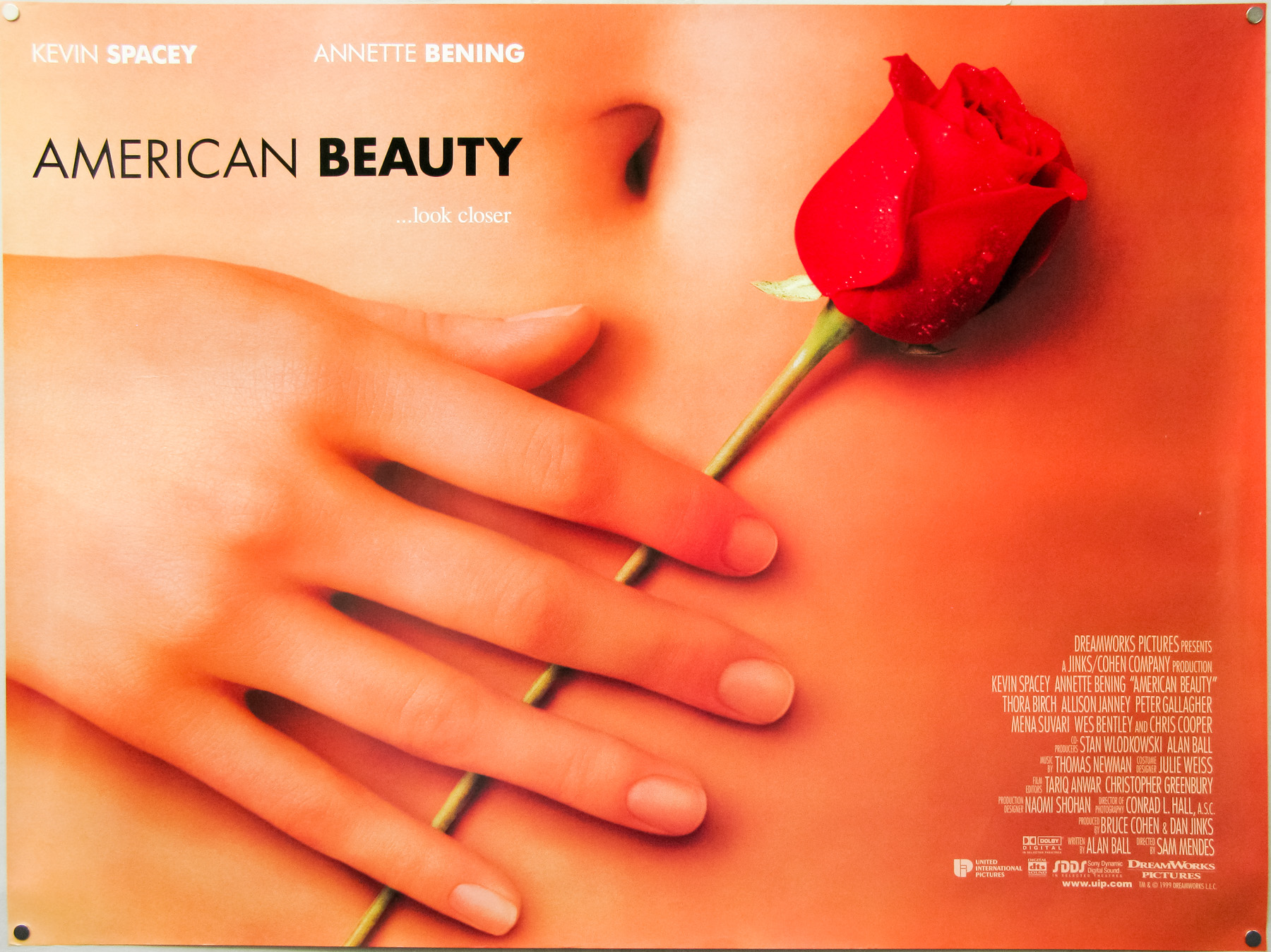 american-beauty-film-vault-wiki-fandom