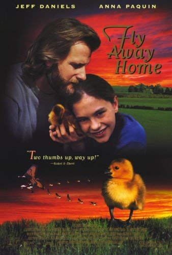 Fly Away Home Moviepedia Fandom