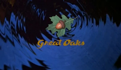 premiere oaks movies