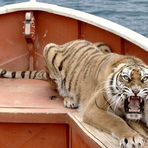 Life Of Pi Moviepedia Fandom
