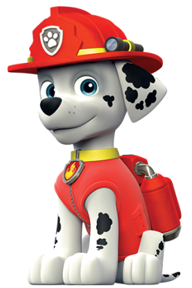 marshall bil paw patrol