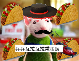 Stuart Little