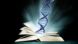 Book of Chromosomes