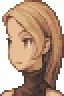 Fftactics job16