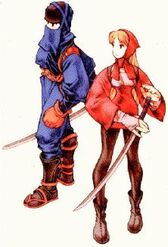 FFT Ninja