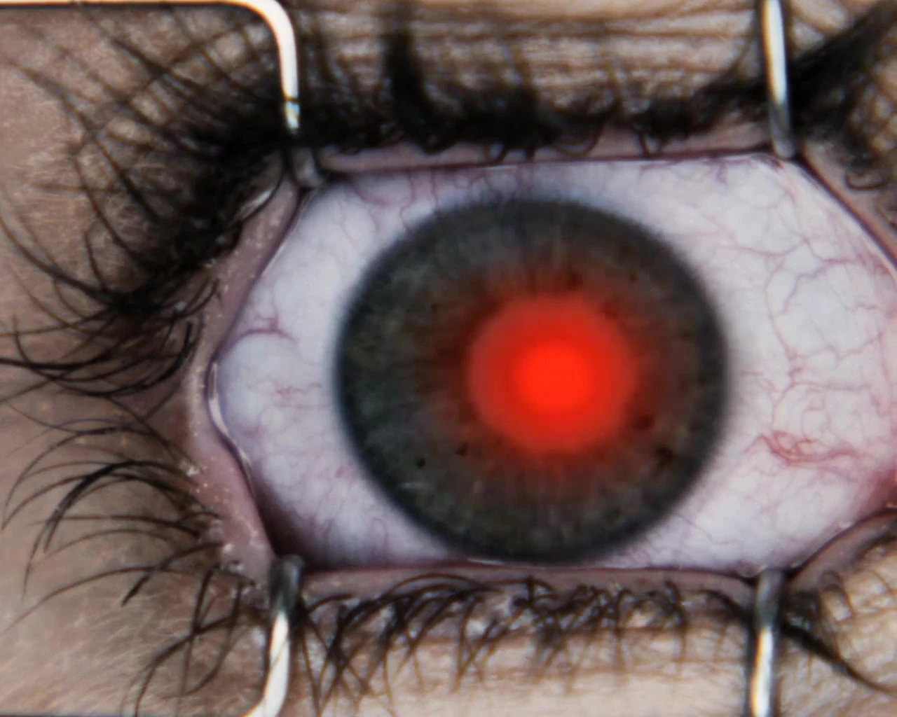 Image Olivia's Eye Laser.jpg Final Destination Wiki FANDOM