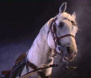 BicentennialHorse