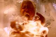 Ashley screaming while being burnt alive