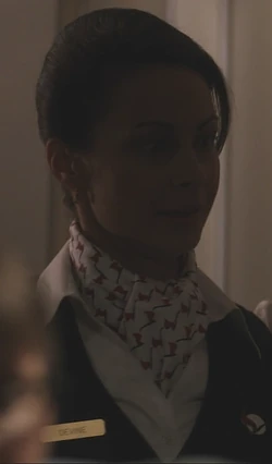 Flight 180 female flight attendant 3 | Final Destination Wiki | FANDOM