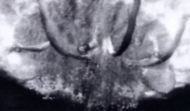 File:Ragnarok Vision.png