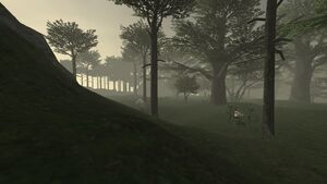 WRonfaure1