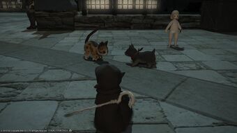 Minion Final Fantasy Xiv Final Fantasy Wiki Fandom
