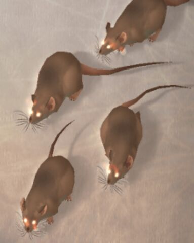 File:Dire Rat FFXII.jpg