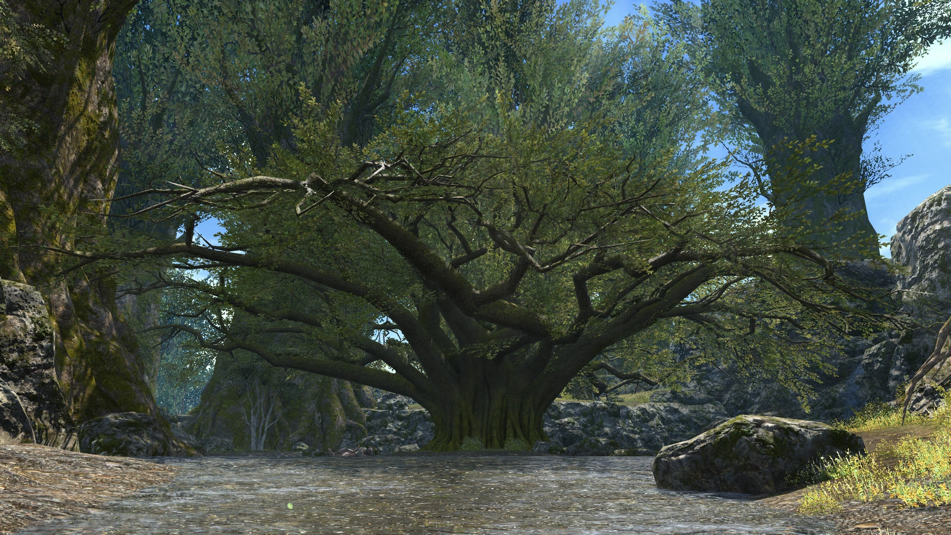 Image FFXIV Guardian Tree.png Final Fantasy Wiki FANDOM powered