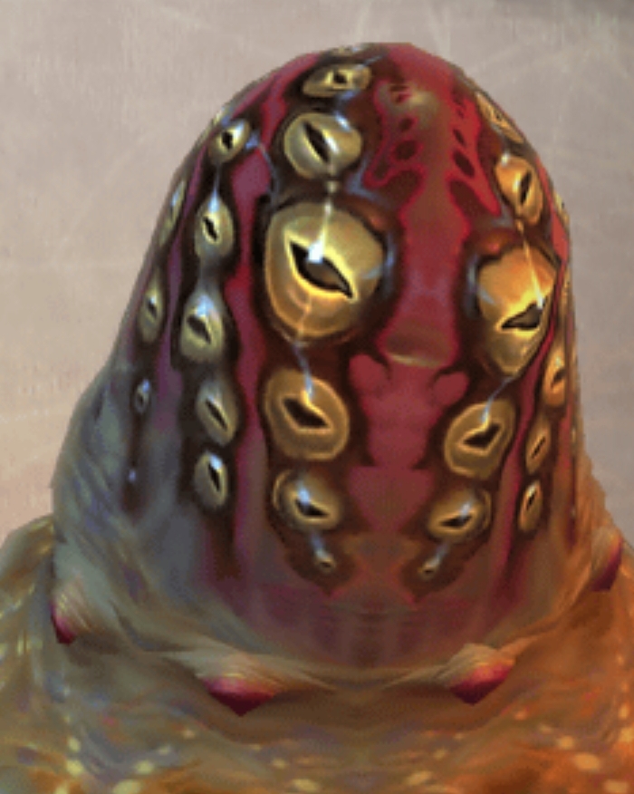 cubus ff12 cubus ff12