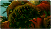 FF13-2 Frag Mutantomato