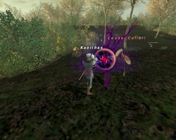 FFXI Dark Orb