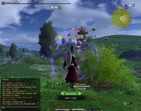 FFXIV 1.0 Rasp II