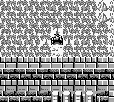 FFLII Sewer