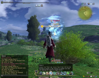 FFXIV 1.0 Drown II