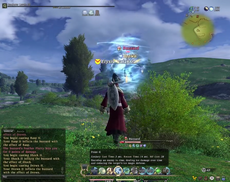 FFXIV 1.0 Drown II