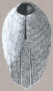 FFVI Reed Cloak Artwork