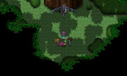 Lenna at Guardian Tree