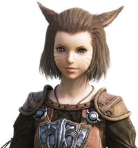 Miqo'te FFXIV