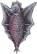 Dragon Shield FFII Art