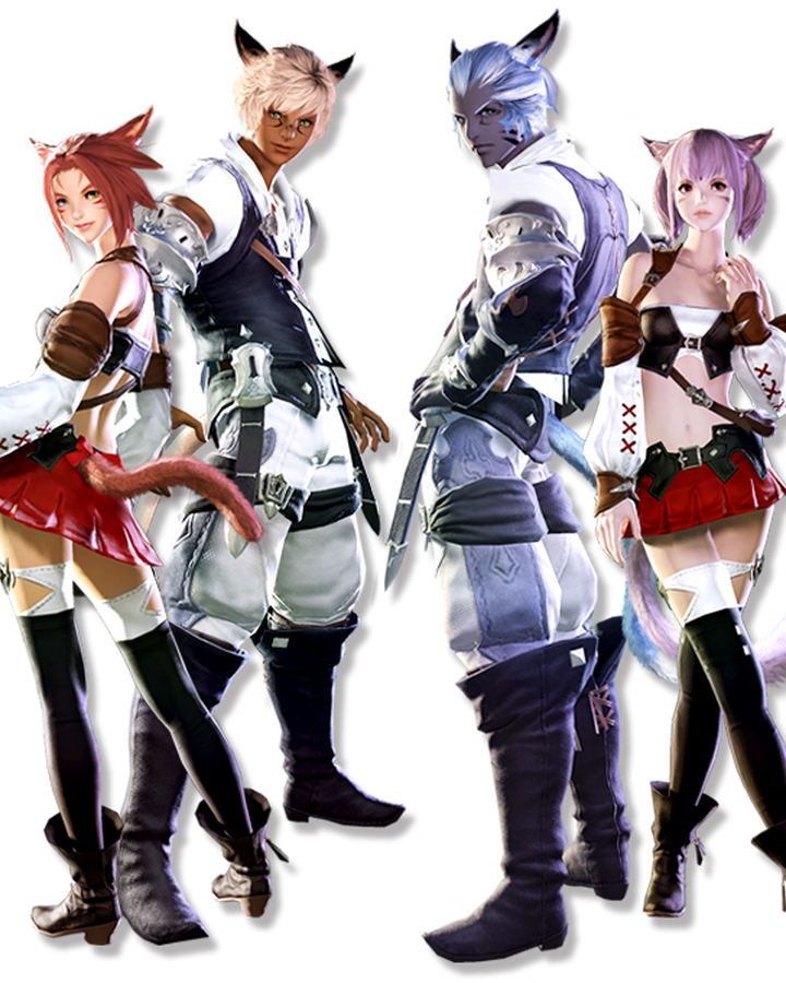 Wallpaper Miqo Te Final Fantasy Wiki Fandom Desktop Wallpaper