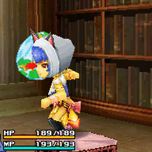 Cat Ear Hood Final Fantasy Wiki Fandom